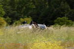 image12