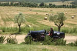 image12